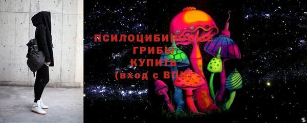 прущие грибы Арсеньев