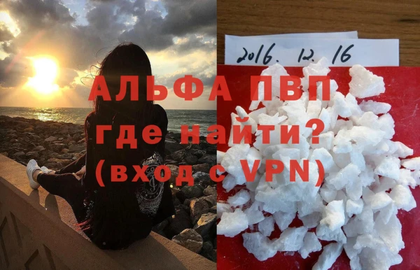 прущие грибы Арсеньев
