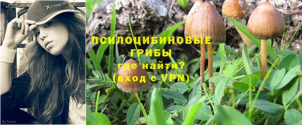 крисы Армянск