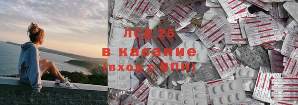 прущие грибы Арсеньев