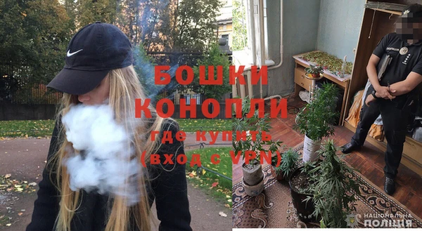 прущие грибы Арсеньев