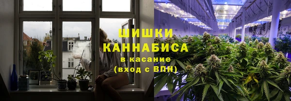 прущие грибы Арсеньев