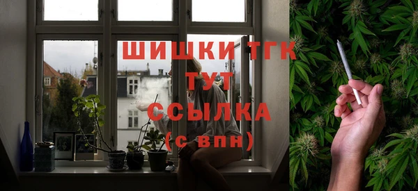 крисы Армянск