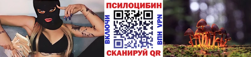 Галлюциногенные грибы Psilocybine cubensis Кремёнки